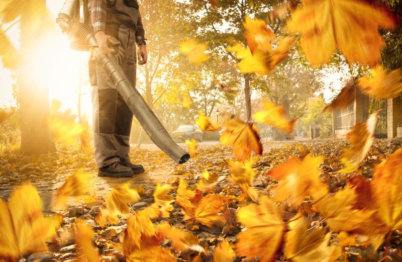 Increase Your Leaf Removal Service Business with an AI Driven, Targeted Website