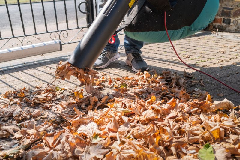 Leaf Removal Service