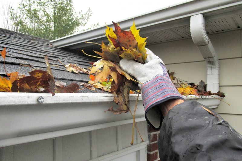 Gutter Cleaning During Leaf Removal
