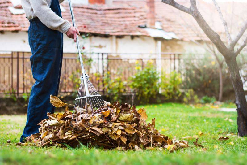 Lawn Care Post Leaf Removal