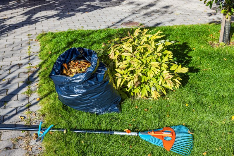 Clean Landscapes After Leaf Removal