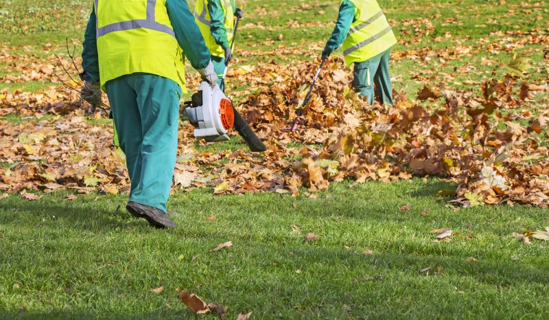 Specialized Leaf Removal Services