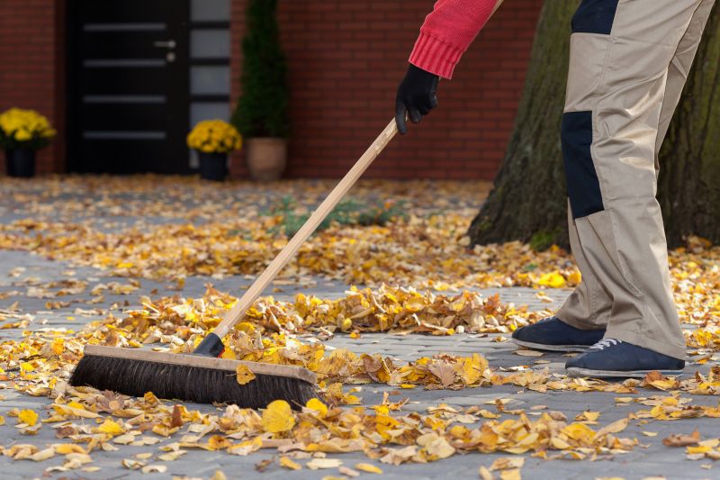 Fall Leaf Cleanup