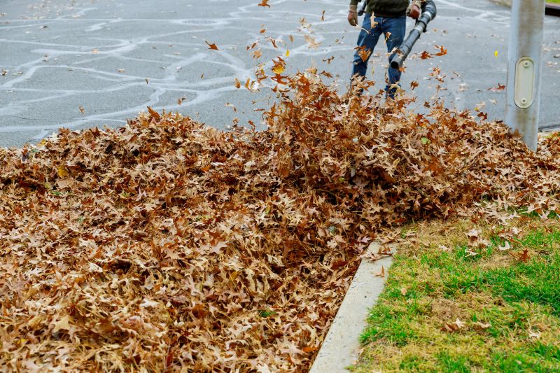 Post-Storm Leaf Removal