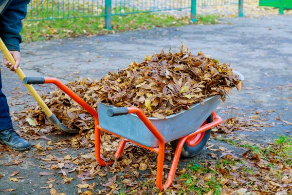 Leaf Pickup Service